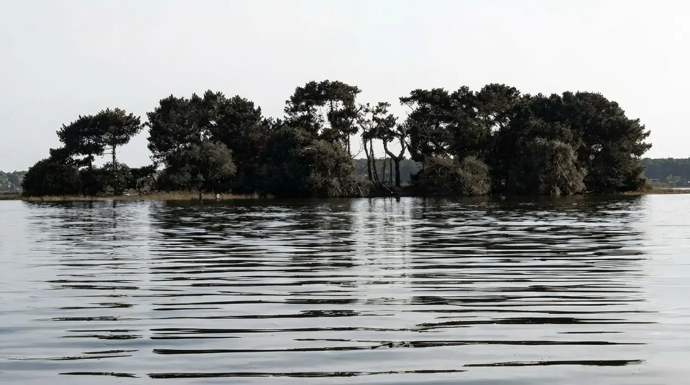 Il fiume che inghiottì i dimenticati: la vera storia dietro "Nazino"